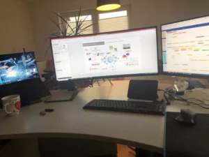 Individualentwicklung